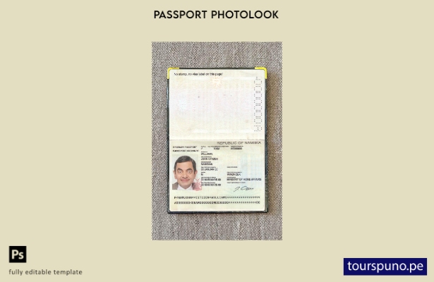Plantilla de apariencia fotográfica del pase de Namibia lista para imprimir